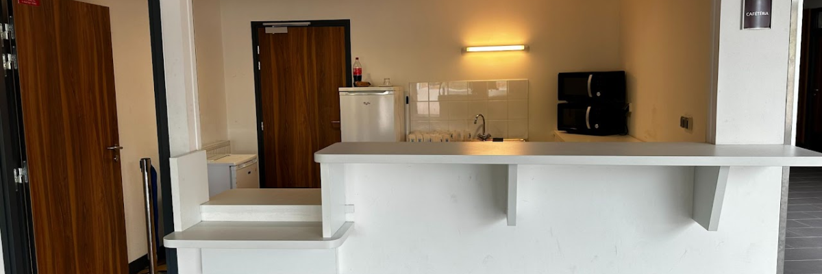 Cuisine avec comptoir, évier, micro-ondes, réfrigérateur et lampes.