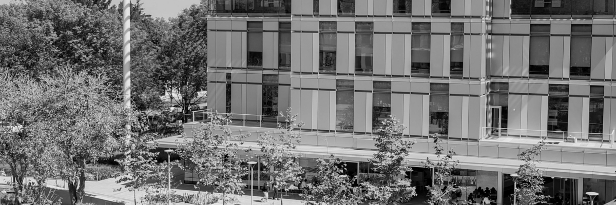 Bâtiment avec cour, arbres, clôture, bancs et éclairage extérieur.